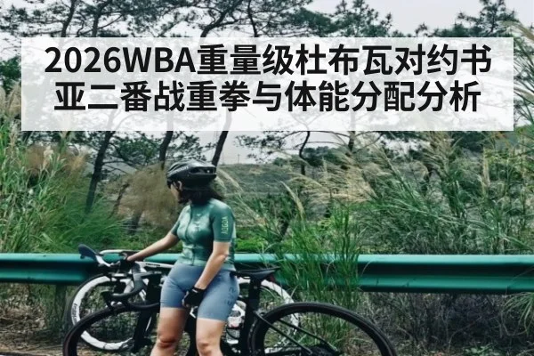 2026WBA重量级杜布瓦对约书亚二番战重拳与体能分配分析